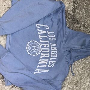 Hollister Cropped Hoodie